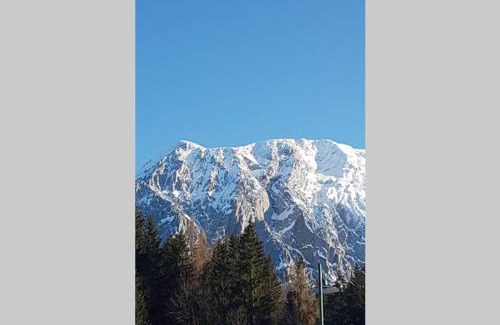 Tauplitz Apartamento | Galerie Wohnung Hechelstein/Top 106