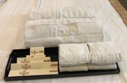 Hai Ba Trung Hotel | Gallant Hotel