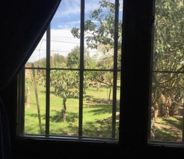San Juan Casa | GalloNegro