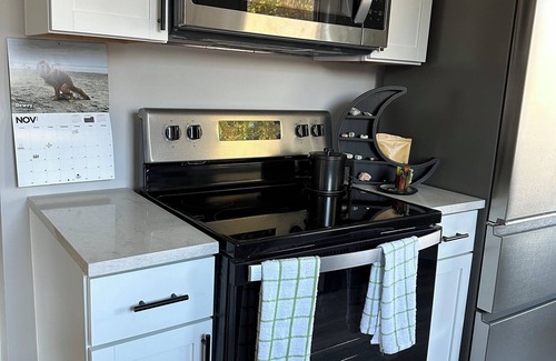Parma Casa | Game On Parma with WiFi, AC and Game Room Family and Pet Friendly