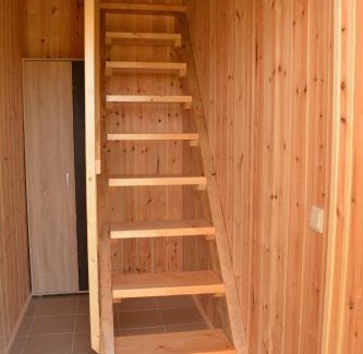 Palanga Apartamento | Gamtos apsupty