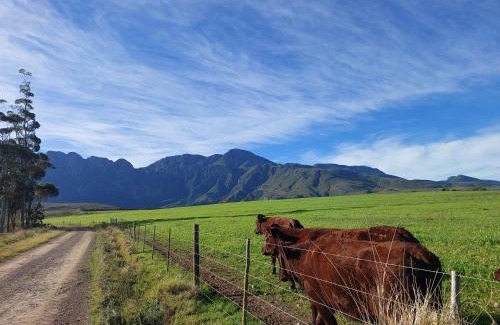 Riviersonderend Casa | Ganskraal Farm Cottage