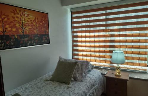 Osorno Apartamento | Garcia hurtado departamento diario