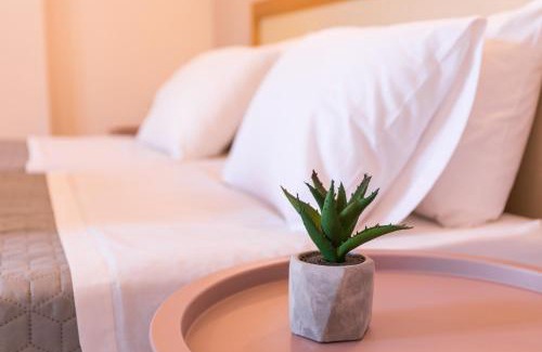 Ipsos Hotel | Garden Budget Rooms