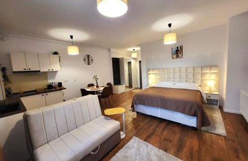 Sibiu Apartamento | Garden City Studio
