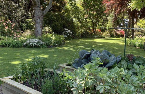 Woodbury Cabaña | Garden Cottage