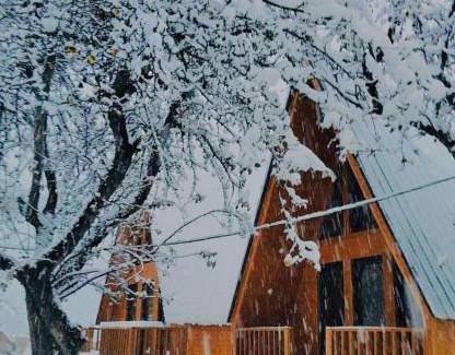 Bagvdanari Casa | Garden Cottages