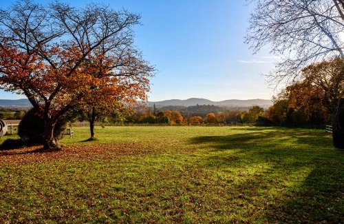 Rogate Apartamento | Garden flat near Goodwood with stunning views