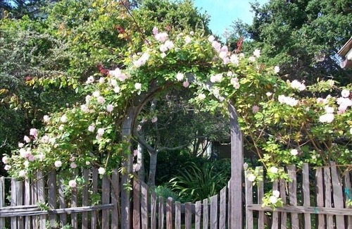 Carmel Point Casa | Jardín de su casa a una cuadra de la playa