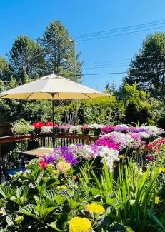 Saanich West Casa | Garden home in Victoria -Beautiful home in Victoria