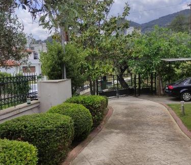 Palaio Tsifliki Casa | Garden house