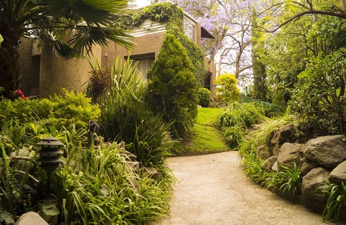 Guadalupe Inn Casa | CASA DE JARDÍN, BIENVENIDOS AL BARRIO DE SAN ANGEL