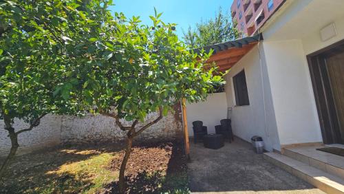 Tirana Villa | Garden Lemon Tree Villa