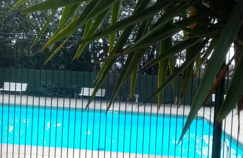 Plaine de la Brague Apartamento | Garden-level apartment in attractive, secure residence with swimming pool.