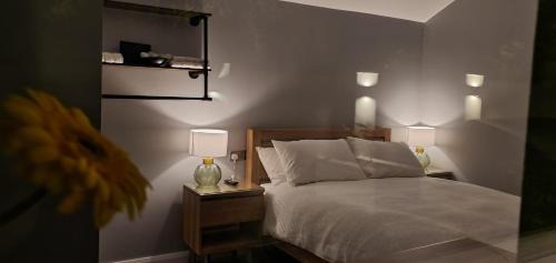 Belfast Casa | Garden Lodge
