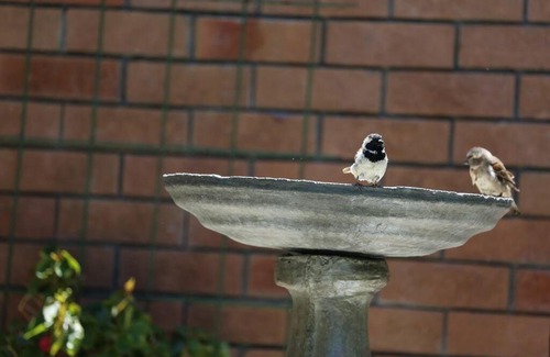 Fish Hoek Apartamento | Garden of Eden