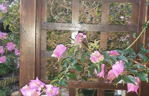 Fish Hoek Apartamento | Garden of Eden