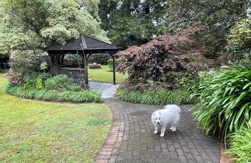 Springfield Casa | Garden Paradise in Rotorua (with swimming pool)