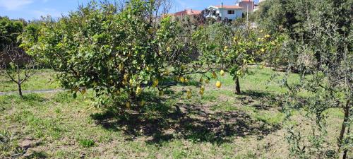 Lu Bagnu Casa | Garden relais