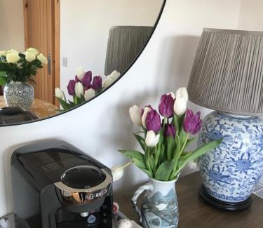 Inverness Apartamento | Garden Retreat - City Central Quiet Garden Apartment with Free Parking