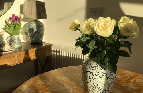 Inverness Apartamento | Garden Retreat - City Central Quiet Garden Apartment with Free Parking