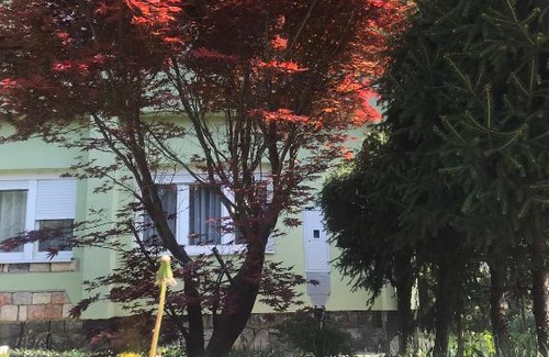 Kosjeric Apartamento | Garden's apartman - Kosjerić