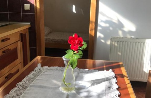 Kosjeric Apartamento | Garden's apartman - Kosjerić