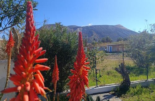 Vulcano Porto Casa | Garden & Sea