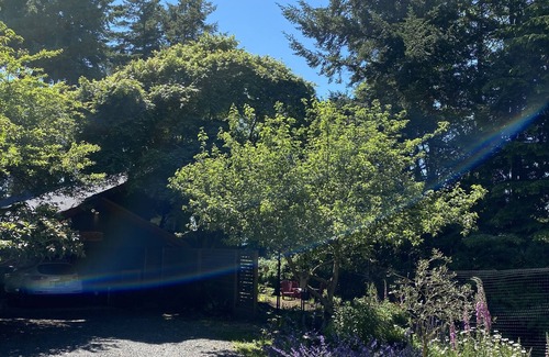 Bowen Island Casa | Garden suite at Casa Helena pet friendly Lisence#00000705