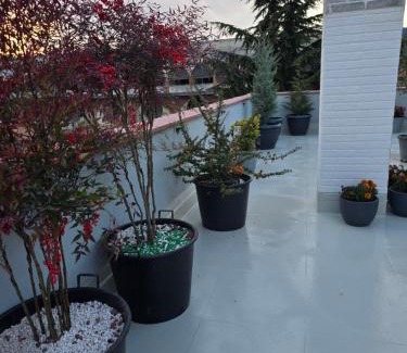 Kvareli Apartamento | Garden Terrace Kvareli