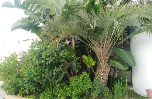 Quarteira Apartamento | Garden View Vilamoura Apartment