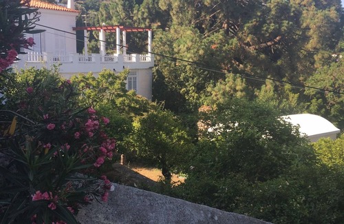 Andros Town Casa | Villa Jardín en Lamyra