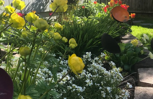 North Star Cama Y Desayuno | Gardenside Bed and Breakfast