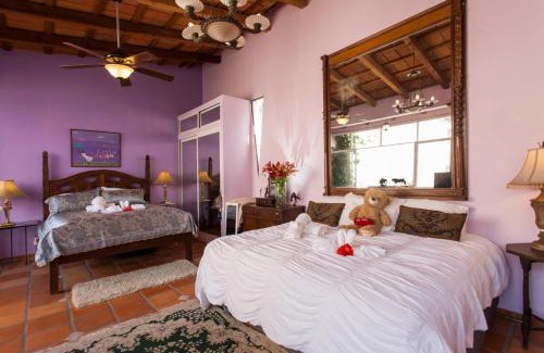 Emiliano Zapata Cama Y Desayuno | Garlands Del Rio Riverside Boutique Hotel