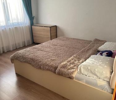 Falticeni Apartamento | Garsonieră