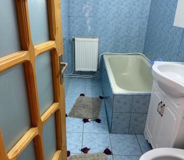 Falticeni Apartamento | Garsonieră