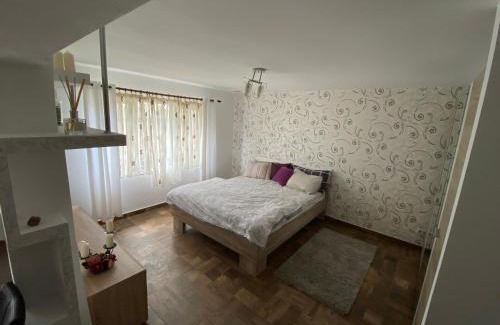 Lupeni Apartamento | Garsoniera deosebita intr-o zona linistita Straja-Lupeni