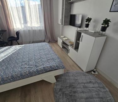 Timisoara Apartamento | Garsoniera - moderna - Timișoara