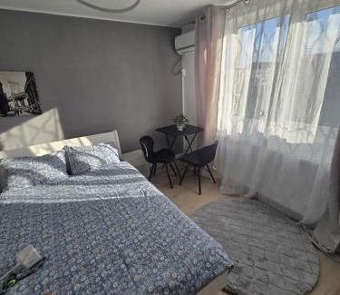 Timisoara Apartamento | Garsoniera - moderna - Timișoara