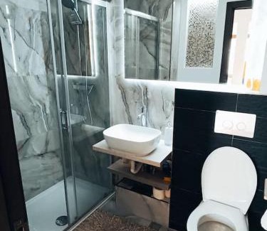 Orastie Apartamento | Garsoniera premium