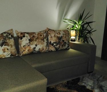 Tirgu Ocna Apartamento | Garsoniera REBECCA