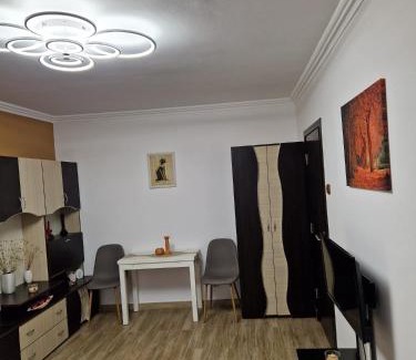 Baile Herculane Apartamento | Garsoniera