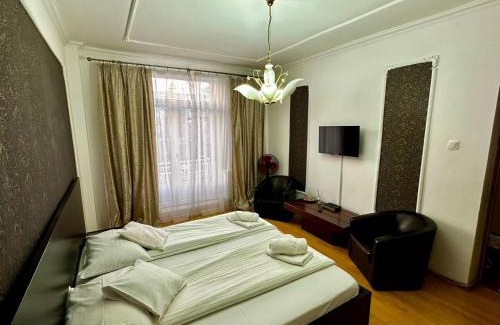 Bacau Apartamento | Garsoniera ultracentral