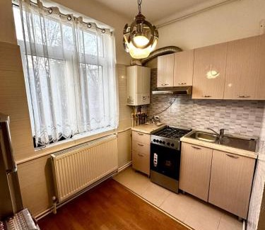 Bacau Apartamento | Garsoniera ultracentral