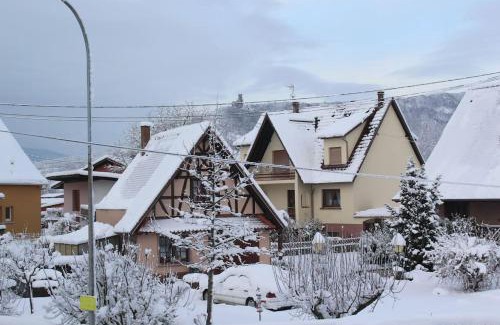 Scherwiller Casa | Garte Hiesel la maison de jardin Piscine été 2026