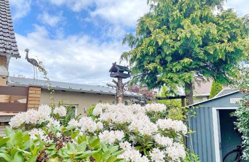 Lubbenau/Spreewald Casa | Gartenblick