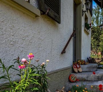 Schoenau im Schwarzwald Casa | GartenFerienhaus "AnnaLuise"