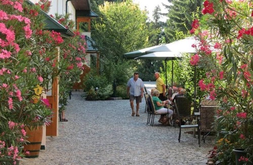 Morbisch am See Cabaña | Gartenpension Fischl - Doppelzimmer mit Dusche, WC