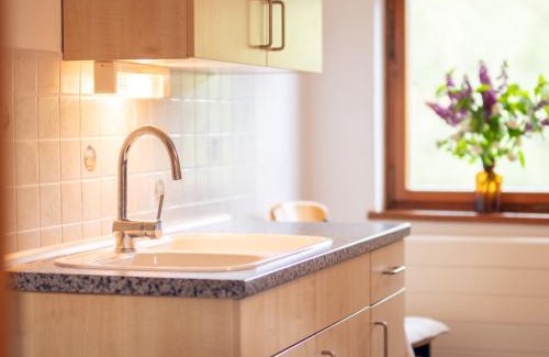 Hartenstein Apartamento | Gartentraum, Feuergrill, Kids-Spielwelt, 4Räume