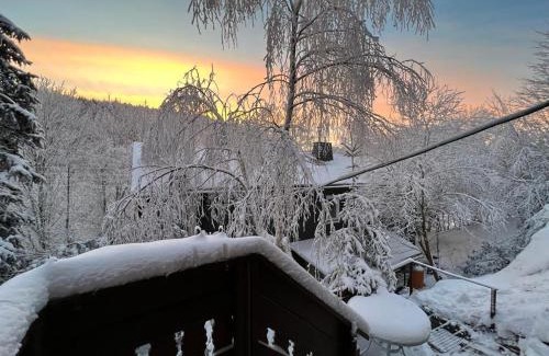 Piesau Apartamento | Gasthaus Piesau - Thüringer Wald - Rennsteig